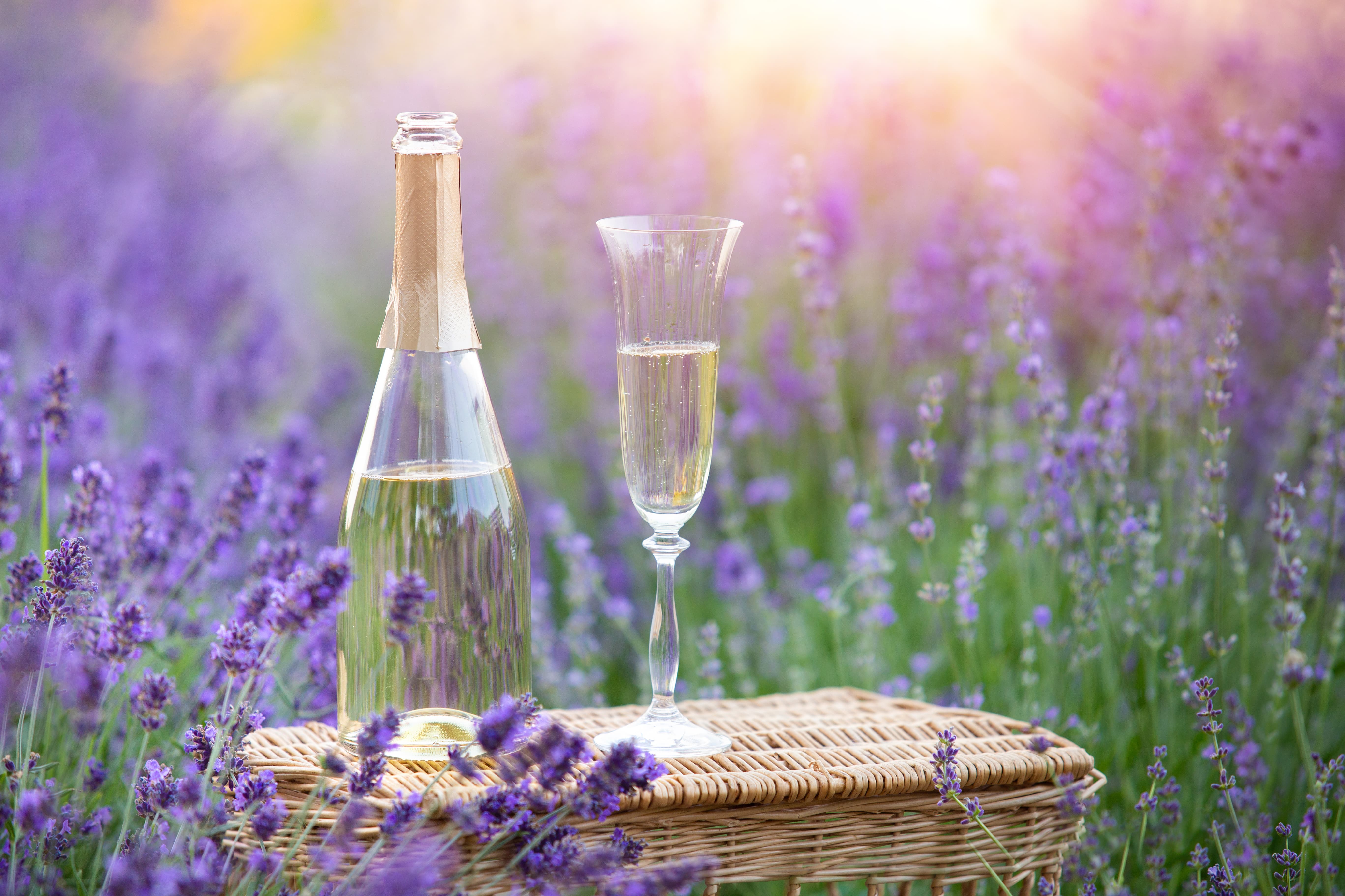 Giardina-Perrier-Jouet-Bar.jpg (0.6 MB)
